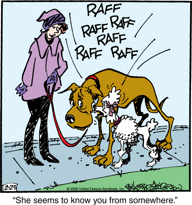 marmaduke